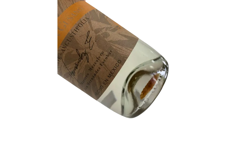 mezcalgusano.webp