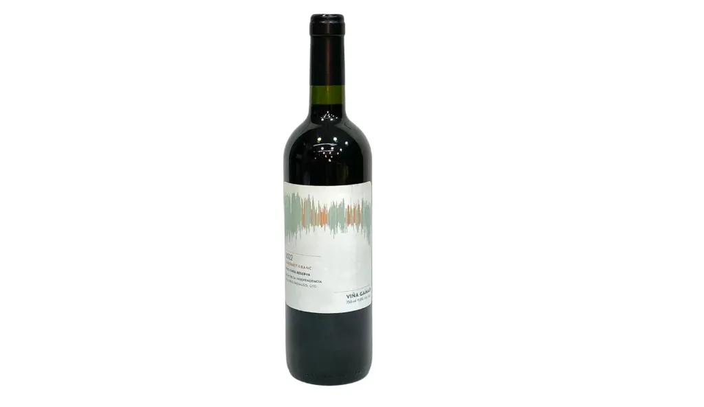 Cabernet Franc - Viña Gamar