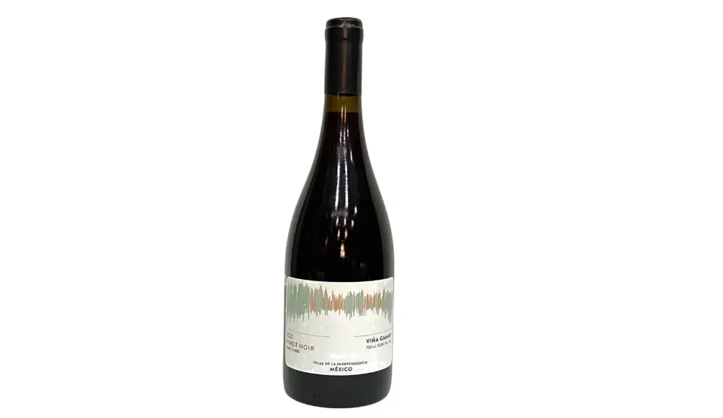 Pinot Noir - Viña Gamar